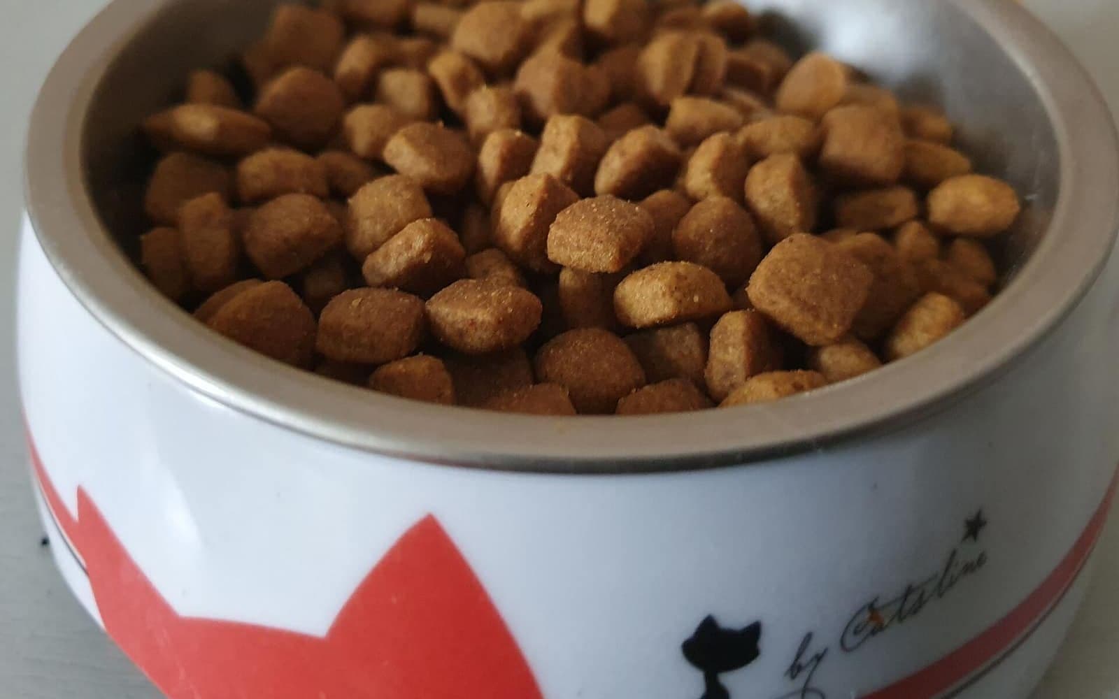 Kedi maması