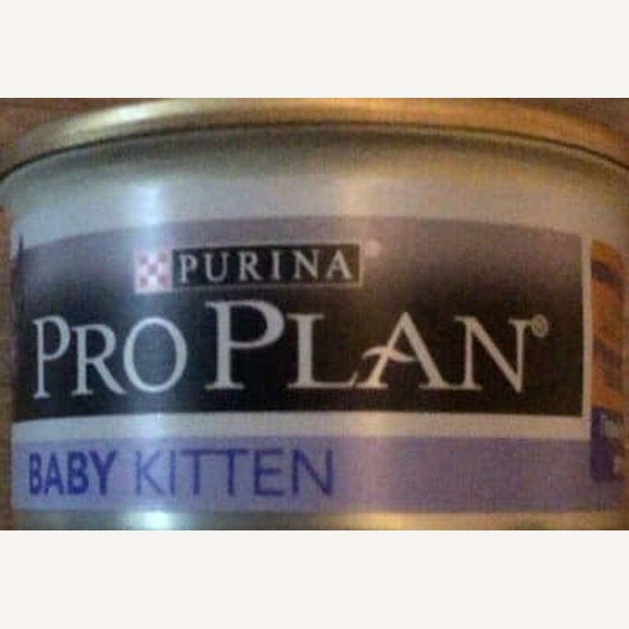 Pro Plan Kitten
