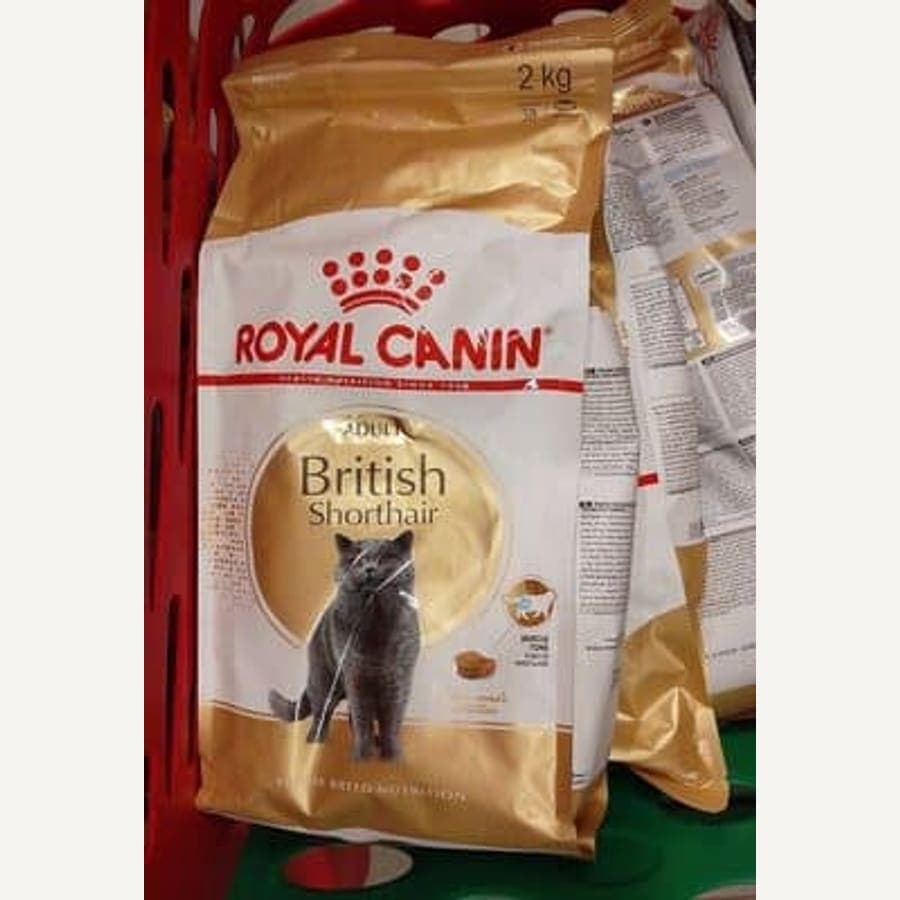 Royal Canin British Shorthair Adult